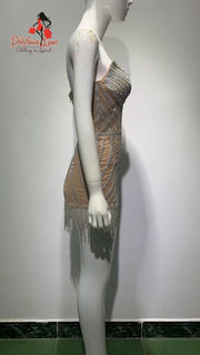 Devine Lux Pearls Sparkly Tassels Birthday Dress For Women Sexy Club Wear Dress Celebrity Dress Factory